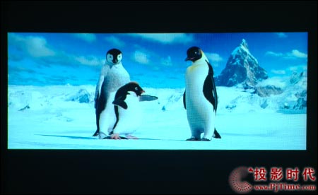 c(din)ŴNEC VT48+ͶӰC(j)ΑͿͨp