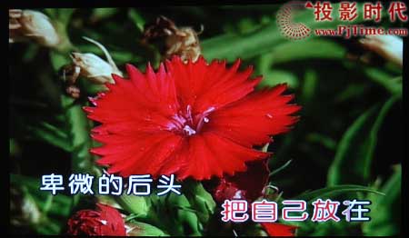 點(diǎn)擊放大,明基(BENQ)W100投影機(jī)綜合效果欣賞