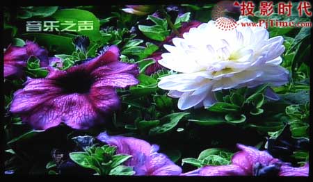 點(diǎn)擊放大,明基(BENQ)W100投影機(jī)綜合效果欣賞
