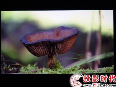 點擊放大,三星LED投影機(jī)SP-P310ME