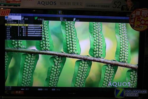 피(j)52RX1Һҕʜy(c)ԇ