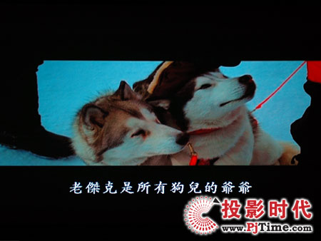 cŴWDa1080pͶӰCHD803 DVDЧ