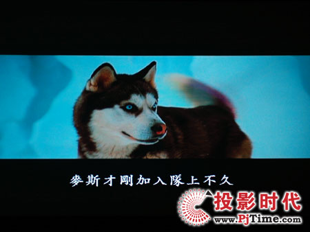 cŴWDa1080pͶӰCHD803 DVDЧ