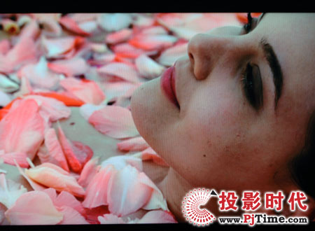 c(din)Ŵ(chung)SҺҕ42L02RFXЧ