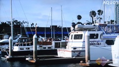GX352GX50AƷҺu(png)