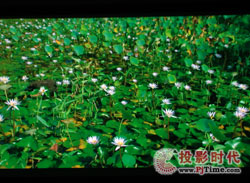 點(diǎn)擊放大,索尼VPL-HW10家用投影機(jī)
