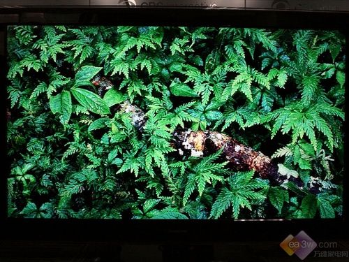 r(sh)Њʘ(l)(j) L(zhng)iTV55820Һלy(c)