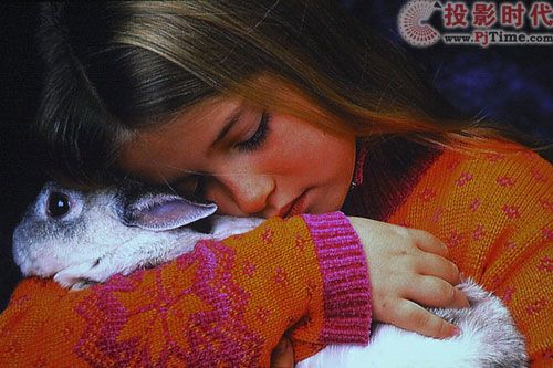 1080PҲH ~PL01ͶӰC(j)uy_DƬc֜yԇ