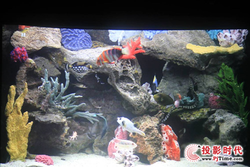 ӍͶӰC(j)H1180HD[ι܊_ƪ