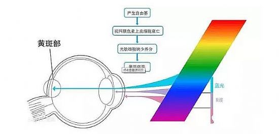 3Glasses{(ln)S1Ʒu(png) Viveȸӑ۾