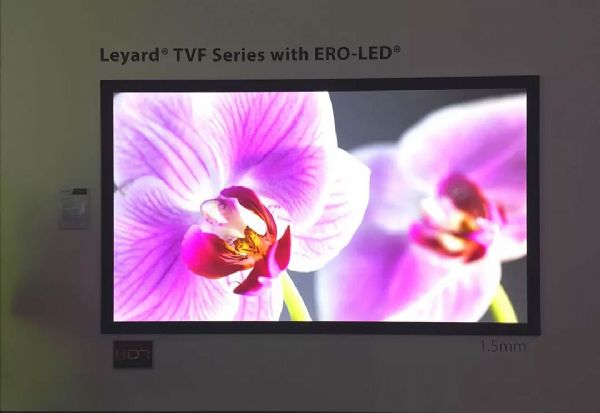 ISE 2020Micro LEDr(sh)