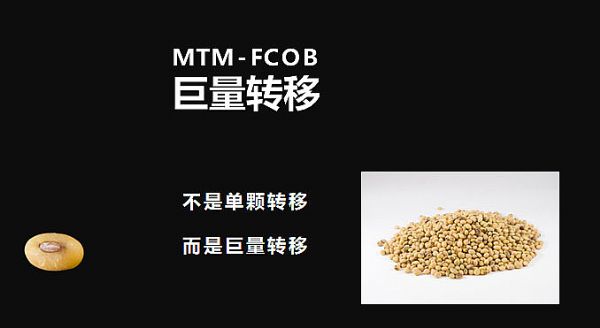 Mini/MicroLEDҪD(zhun)Ƽg(sh)