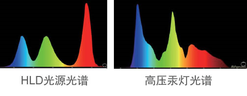 _(ki)W(xu)ҕ(li)HLDͶӰC(j)̌W(xu)