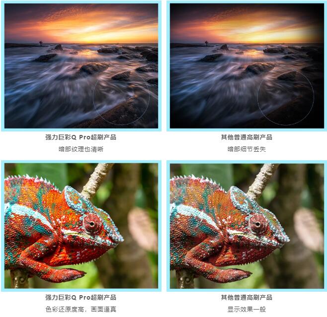 W(wng)j(lu)ֱx(qing)޲Q Pro