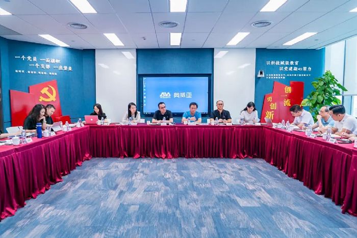 王東興調(diào)研國新文化所屬企業(yè)奧威亞