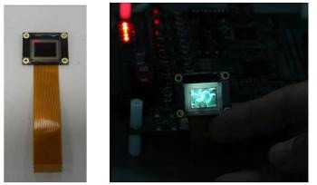 @ʾ]_(ki)l(f)OLED΢@ʾ