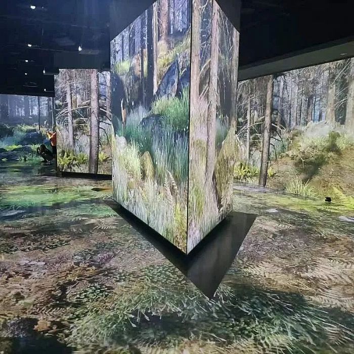 SEEMILE視美樂 | 探索鳥類王國,看創(chuàng)意光影下的飛羽之美