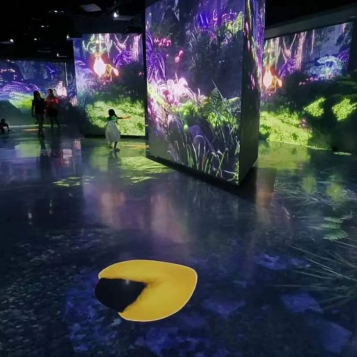 SEEMILE視美樂 | 探索鳥類王國,看創(chuàng)意光影下的飛羽之美