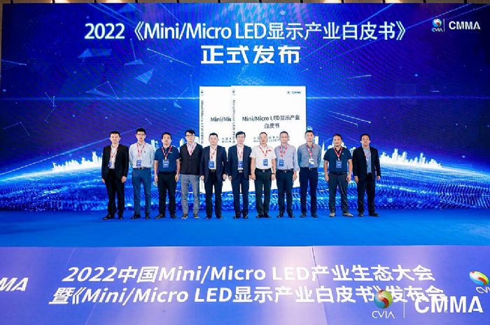 2022Mini/Micro LED@ʾa(chn)I(y)Ƥ(sh)ʽl(f)@ʾ(qing)(gu)O(sh)