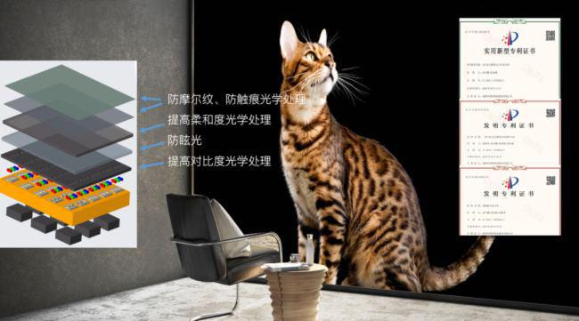 COBl(f)Ԫ꣬δ(li)L(zhng)Գm(x)l(f)