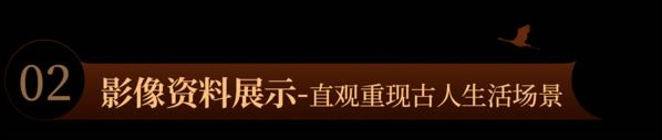 幤ͶӰV^vʮfvʷ׃w