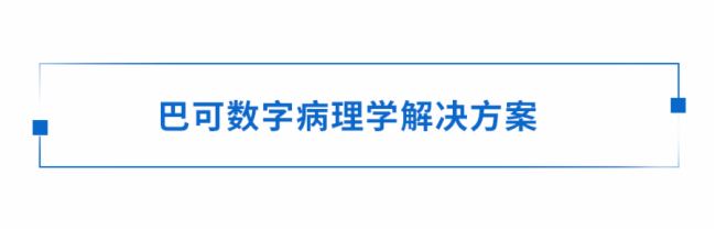 ƤحxɫڬF(xin)W(xu)еđ(yng)